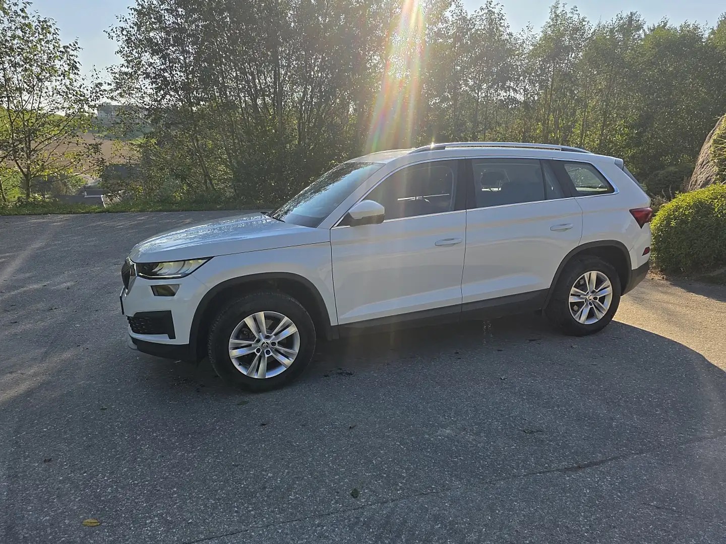 Skoda Kodiaq 2,0 TDI DSG Ambition Limited Mirringlink LED Sc... Weiß - 1