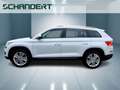 Skoda Kodiaq 2.0 TDI Style 4x4 DSG LED Navi AHK Pano Klimaau Weiß - thumbnail 2