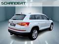 Skoda Kodiaq 2.0 TDI Style 4x4 DSG LED Navi AHK Pano Klimaau Weiß - thumbnail 4