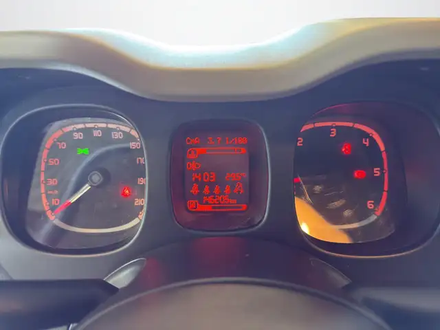 Fiat Panda view 13