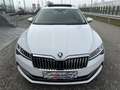 Skoda Superb Kombi 2,0 TDI Style DSG/VIRTUAL-C./ACC/RFK/SHA/... Weiß - thumbnail 10