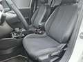Opel Corsa Elegance Apple CarPlay LED Sitzhzg Android Auto Mu Blanco - thumbnail 8