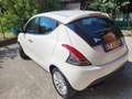 Lancia Ypsilon 1,3 Mjet PLATINUM-UNICA PROPR-4 REVISIONI Wit - thumbnail 7