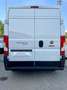 Fiat Ducato 33 2.3 MJT 140CV PM-TM Furgone Bianco - thumbnail 6
