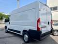 Fiat Ducato 33 2.3 MJT 140CV PM-TM Furgone Bianco - thumbnail 4