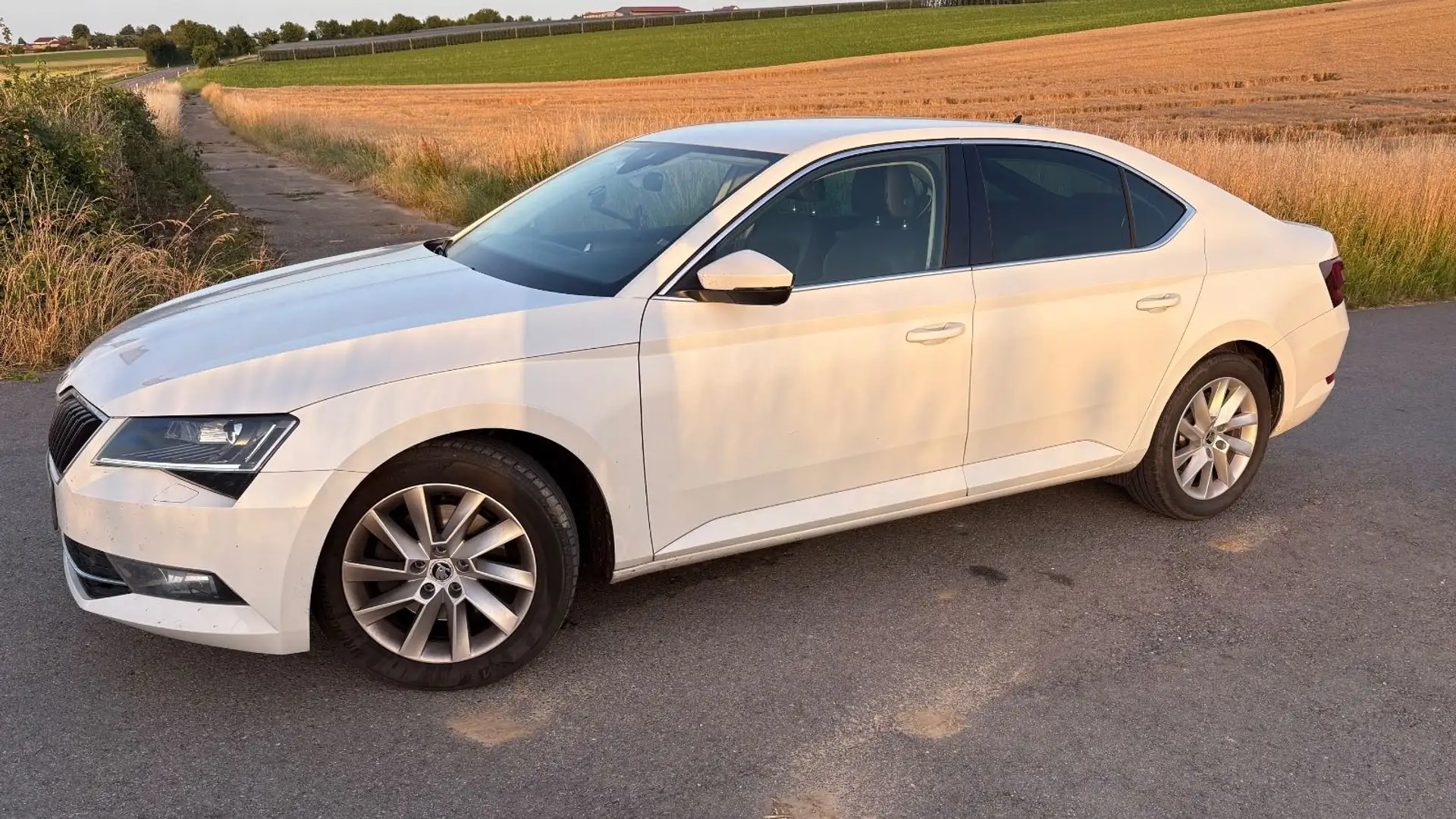 Skoda Superb Lim. Style LED Alcantara AHK ACC Standhei Weiß - 1