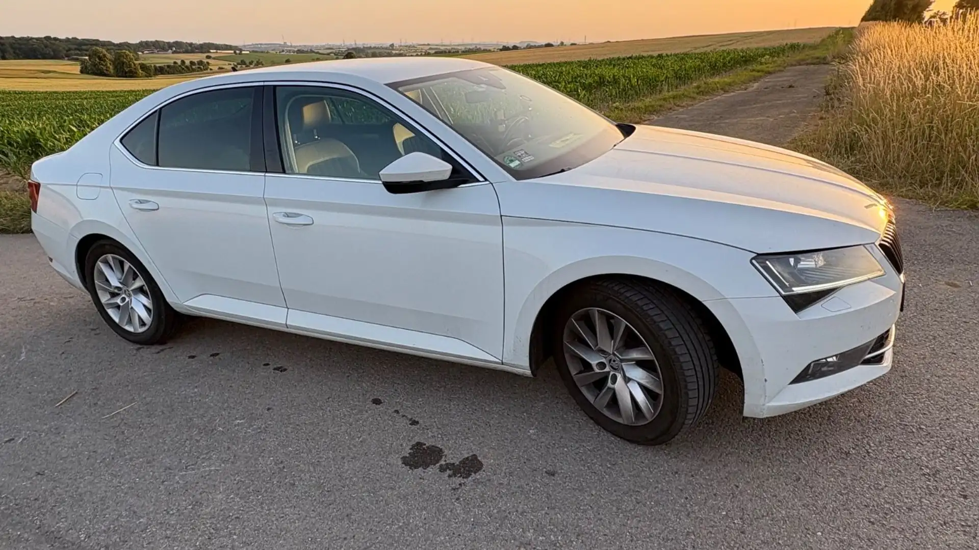 Skoda Superb Lim. Style LED Alcantara AHK ACC Standhei Weiß - 2