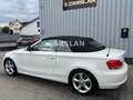 BMW 118 d Cabrio "2.HAND+T.LEDER+Bi-XENON+PDC+SHZ" Weiß - thumbnail 7