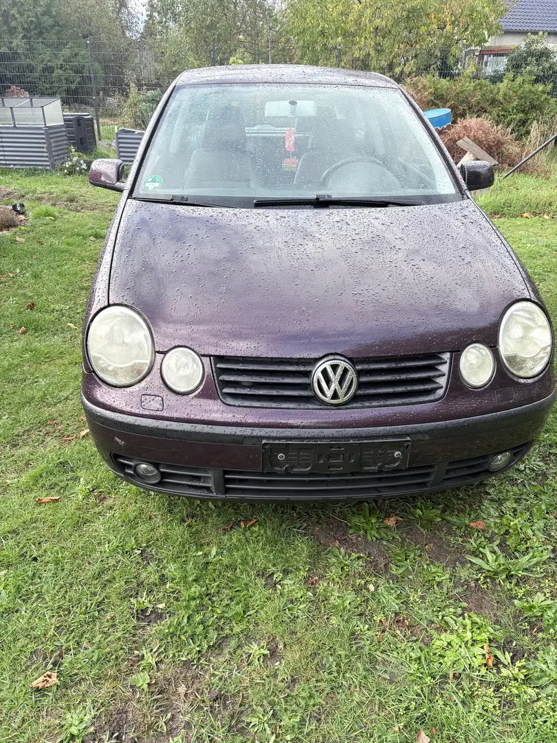 Volkswagen Polo Polo 1.2 Violett - 1