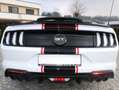 Ford Mustang Mustang 5,0 V8 GT Cabrio, Service, Garantie, KW ! Weiß - thumbnail 8
