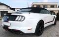 Ford Mustang Mustang 5,0 V8 GT Cabrio, Service, Garantie, KW ! Weiß - thumbnail 5
