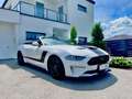 Ford Mustang Mustang 5,0 V8 GT Cabrio, Service, Garantie, KW ! Weiß - thumbnail 21
