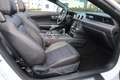Ford Mustang Mustang 5,0 V8 GT Cabrio, Service, Garantie, KW ! Weiß - thumbnail 15