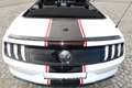 Ford Mustang Mustang 5,0 V8 GT Cabrio, Service, Garantie, KW ! Weiß - thumbnail 19