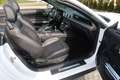 Ford Mustang Mustang 5,0 V8 GT Cabrio, Service, Garantie, KW ! Weiß - thumbnail 12