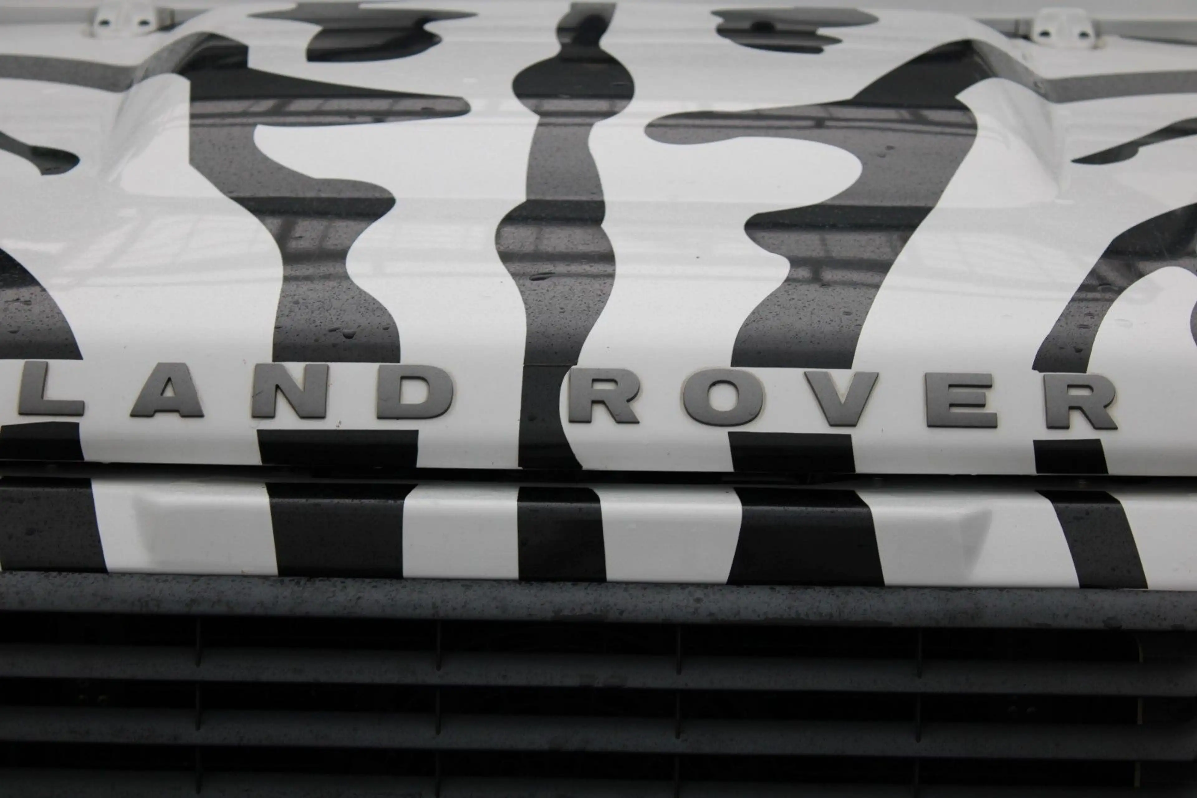 Land Rover Defender 110 E Station Wagon — photo 9