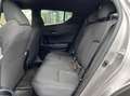 Toyota C-HR 1.8 Hybrid Dynamic LaneAssist Adaptive Winterpack Grau - thumbnail 14