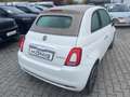 Fiat 500 Cabrio 1.0 PIU Dolcevita KLIMA|ALU|PDC Weiß - thumbnail 6