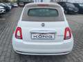 Fiat 500 Cabrio 1.0 PIU Dolcevita KLIMA|ALU|PDC Weiß - thumbnail 5