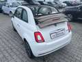 Fiat 500 Cabrio 1.0 PIU Dolcevita KLIMA|ALU|PDC Weiß - thumbnail 15