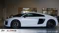 Audi R8 Coupe 5.2 FSI quattro KERAMIK Carbon   plus B&O DD Gris - thumbnail 22