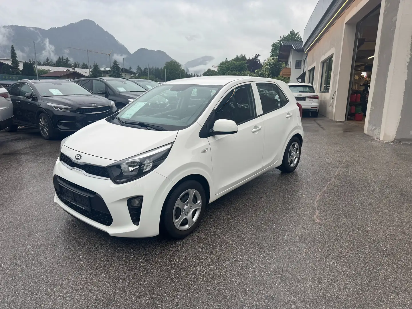 Kia Picanto 1,0 MPI Titan Weiß - 2