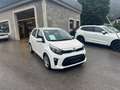Kia Picanto 1,0 MPI Titan Weiß - thumbnail 6