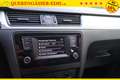 Skoda Rapid/Spaceback 1.2TSI Greentec "Fresh" 66 kW (90 PS), Schalt. ... Zwart - thumbnail 24