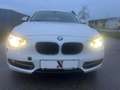 BMW 116 i Sport Line/SEHR GEPFLEGTER ZUSTAND/GUTE AUSST... Weiß - thumbnail 7