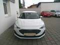 Ford Focus Turnier 1,0 EcoBoost Hybrid Titanium Aut. Weiß - thumbnail 7