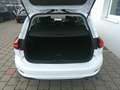 Ford Focus Turnier 1,0 EcoBoost Hybrid Titanium Aut. Weiß - thumbnail 4
