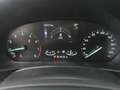Ford Focus Turnier 1,0 EcoBoost Hybrid Titanium Aut. Weiß - thumbnail 17