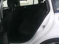 Ford Focus Turnier 1,0 EcoBoost Hybrid Titanium Aut. Weiß - thumbnail 11