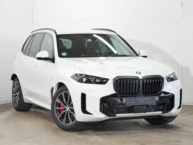 BMW X5 view 12