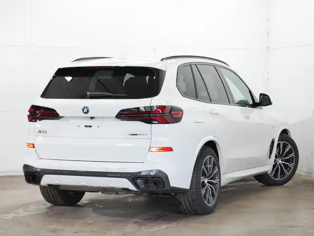 BMW X5 view 11
