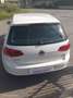 Volkswagen Golf Golf  5p 1.6 tdi Highline automatica neopatentati Weiß - thumbnail 3