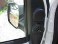 Fiat Fiorino autocarro N1 4 posti Bianco - thumbnail 8