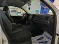Volkswagen Amarok 3.0 V6 TDI 204cv D.CAB 4 Motion Comfortline Bianco - thumbnail 13
