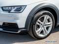 Audi A4 allroad 2.0 TDI S tronic /Navi+/HuD/AHK/Kamera Weiß - thumbnail 10