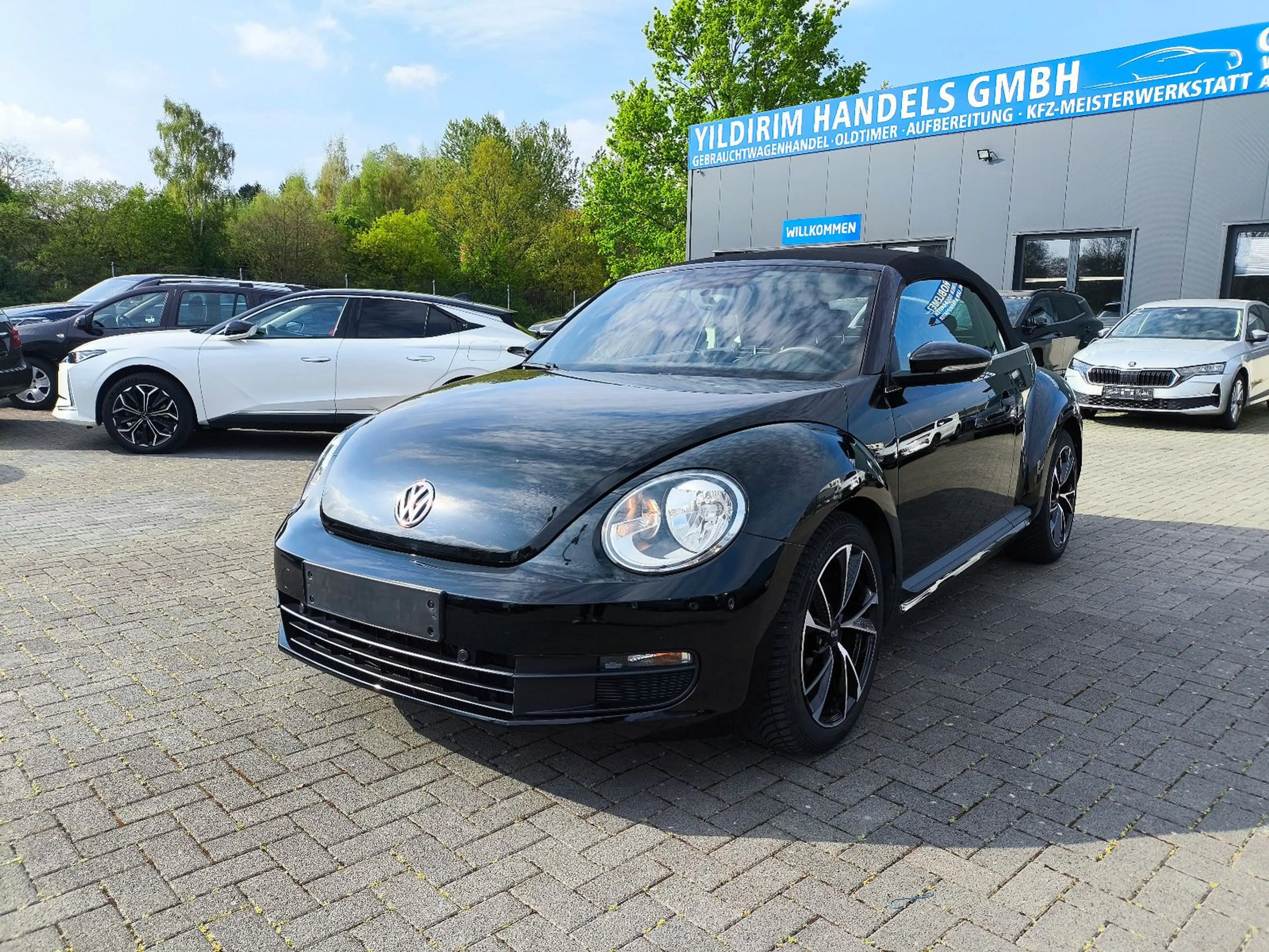 Volkswagen New Beetle Beetle Cabriolet,2 HAND,KLIMA,PDC,WINDSCHOTT — photo 2