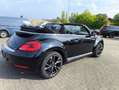 Volkswagen New Beetle Beetle Cabriolet,2 HAND,KLIMA,PDC,WINDSCHOTT Schwarz - thumbnail 18