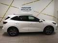 Ford Kuga 2,5 Duratec PHEV ST-Line X Aut. *Lagerabverkauf* Weiß - thumbnail 3