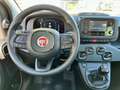 Fiat Panda Pandina III 2024 Pandina 1.0 firefly hybrid s Blanc - thumbnail 18