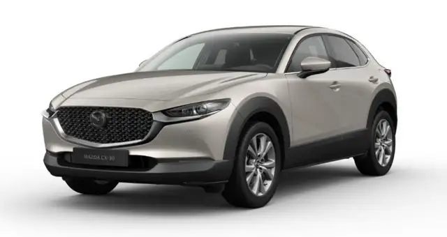 Mazda 2 CX-30 2.5L e-SKYACTIV G 140ps 6AT 2WD EXCLUSIVE-LINE