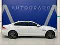 Jaguar XF 2.0D 132kW 180CV Prestige Auto Blanc - thumbnail 4