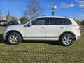 Volkswagen Touareg 3.0 V6 TDI SCR Blue Motion DPF Automatik Weiß - thumbnail 3