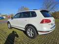 Volkswagen Touareg 3.0 V6 TDI SCR Blue Motion DPF Automatik Weiß - thumbnail 4