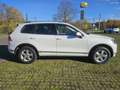 Volkswagen Touareg 3.0 V6 TDI SCR Blue Motion DPF Automatik Weiß - thumbnail 7