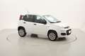 Fiat Panda Natural Power Easy 0.9 Metano 85CV Weiß - thumbnail 7