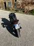 Kawasaki Ninja 300 abs - thumbnail 5